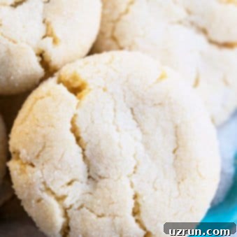 Effortless Soft-Chewy Sugar Cookies 5 Easy Sugar Cookie Recipe (Soft and Chewy) - Delicious and Simple