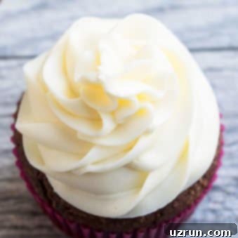 Guilt-Free Frosting 5 Easy Sugar Free Frosting Recipe With Sugar Free Powdered Sugar