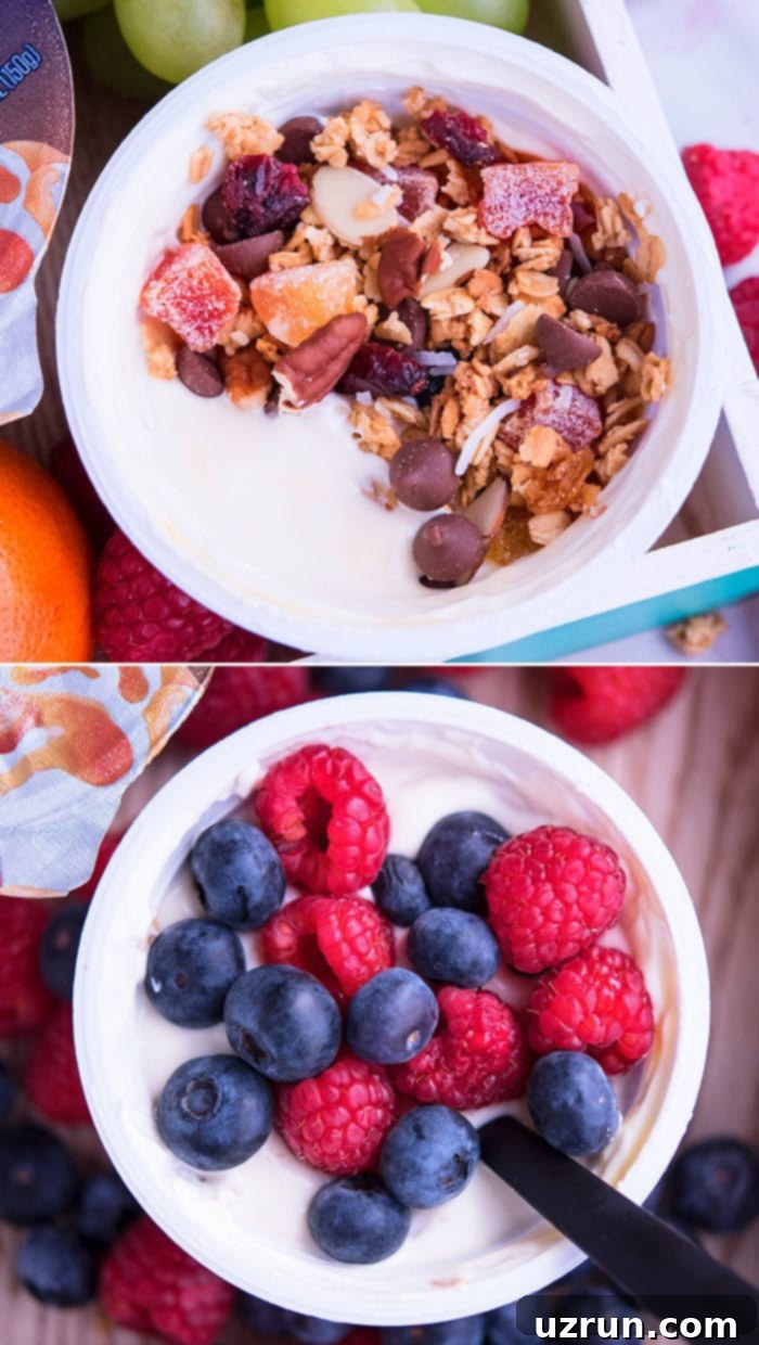 Homemade Granola and Delicious Yogurt Toppings 4 Easy Yogurt Toppings