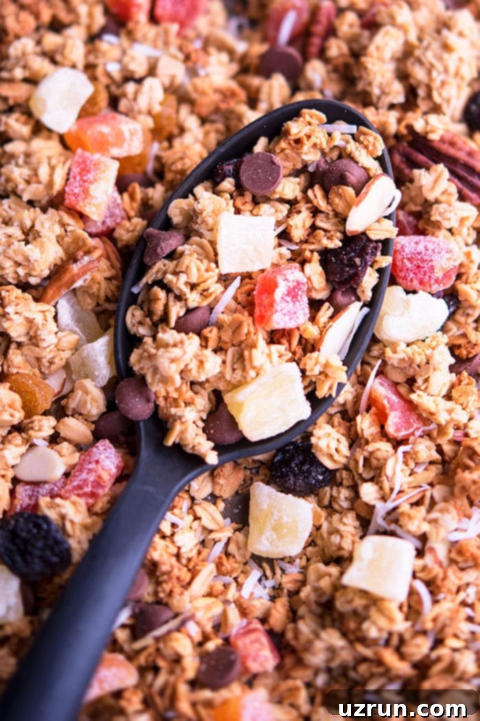 Homemade Granola and Delicious Yogurt Toppings 5 How to Make Granola