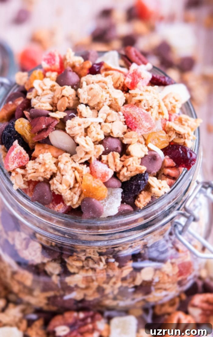 Homemade Granola and Delicious Yogurt Toppings 6 Easy Granola Recipe