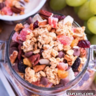 Homemade Granola and Delicious Yogurt Toppings 7 Easy Homemade Granola Recipe