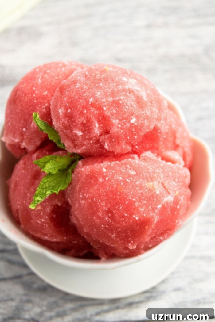 Healthy Watermelon Ice Cream With 2 Ingredients in White Bowl- Closeup Shot