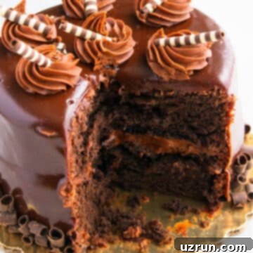 Decadent Chocolate Guinness Cake Made Easy 6 Easy Chocolate Guinness Cake (Stout Beer Cake) With Cake Mix on White Background.