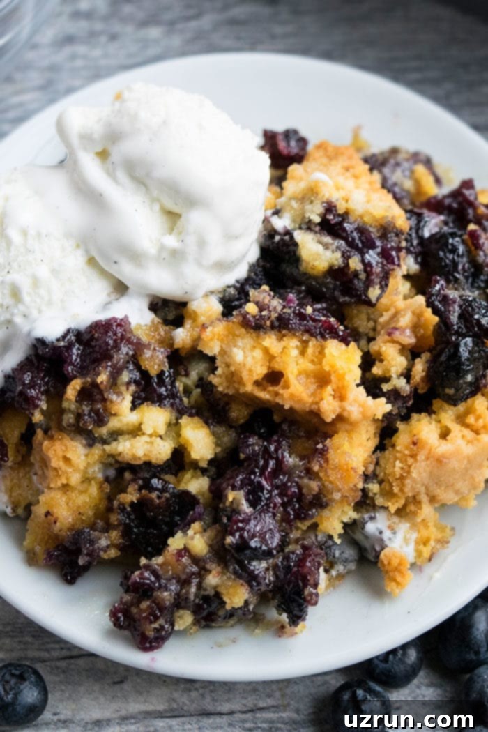 Easy Blueberry Cake Mix Dump Cake 3 Easy Blueberry Cobbler Dump Cake With Cake Mix Served in White Plate With Vanilla Ice Cream