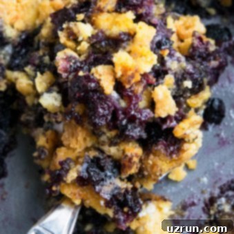 Easy Blueberry Cake Mix Dump Cake 4 Spoonful of Blueberry Dump Cake (Blueberry Cobbler Dump Cake) in Gray Pan