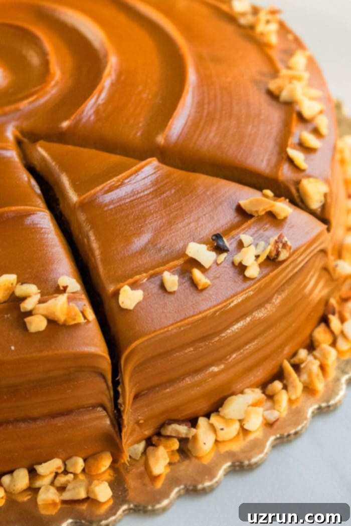 Closeup Shot of Easy Chocolate Caramel Cake With Nuts Topping.  