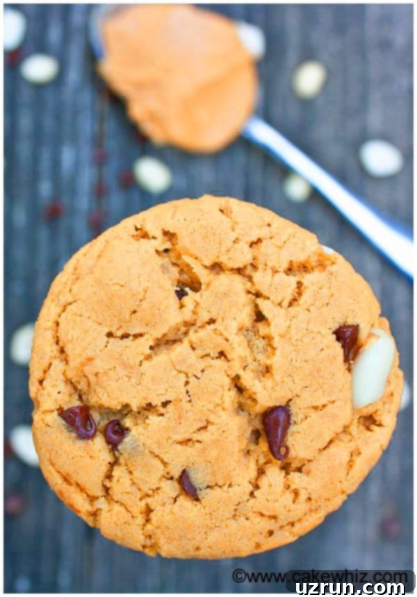 Best Easy Peanut Butter Chocolate Chip Cookies Recipe
