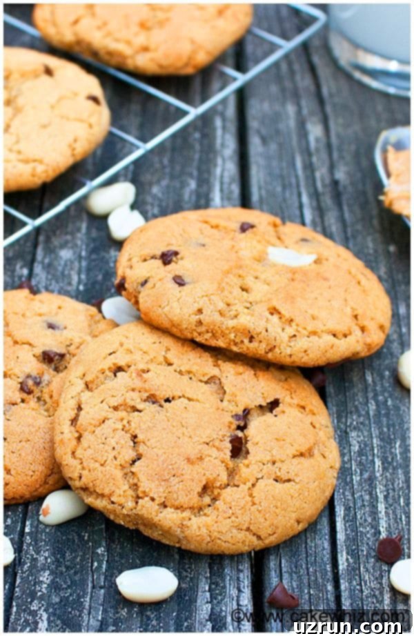 Perfectly Soft and Chewy Peanut Butter Chocolate Chip Cookies 3 Best Soft and Chewy Peanut Butter and Chocolate Chip Cookies Recipe