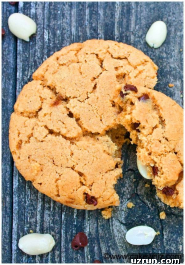 Perfectly Soft and Chewy Peanut Butter Chocolate Chip Cookies 5 Easy Peanut Butter and Chocolate Chip Cookies Recipe