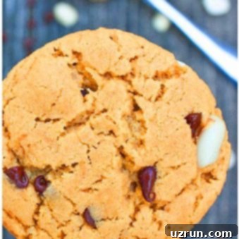 Perfectly Soft and Chewy Peanut Butter Chocolate Chip Cookies 4 Easy Soft and Chewy Peanut Butter and Chocolate Chip Cookies Recipe