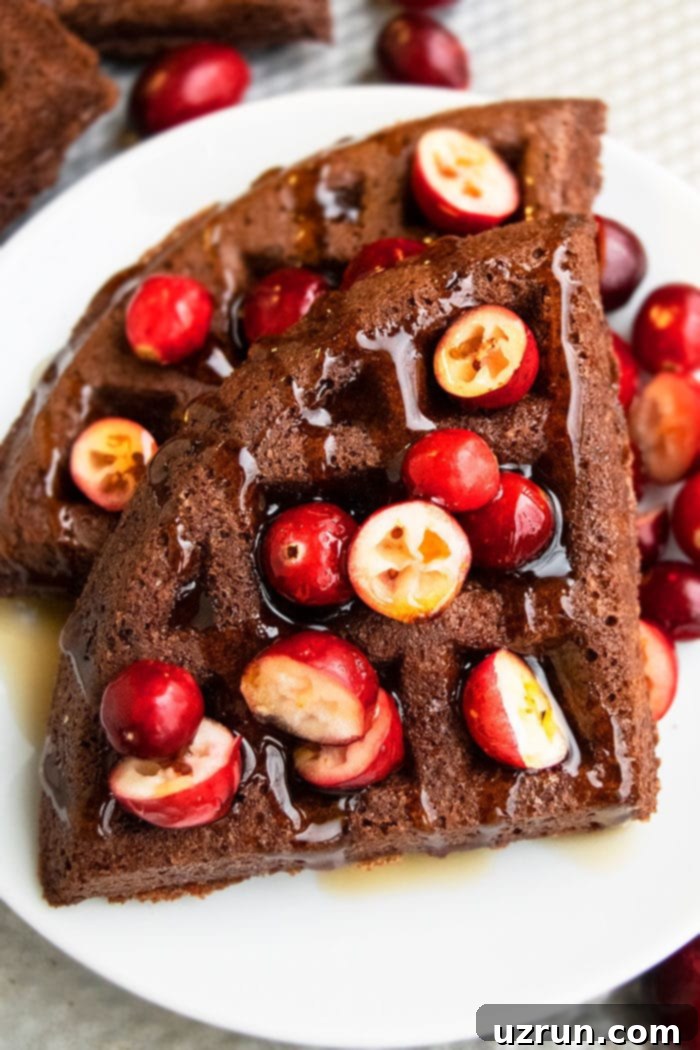Cake Batter Chocolate Waffles 3 Homemade Chocolate Waffles With Syrup and Fruits