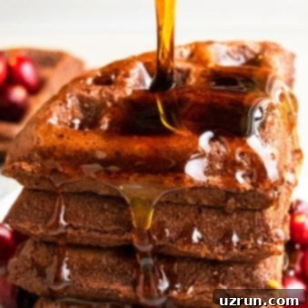 Cake Batter Chocolate Waffles 5 Easy Chocolate Waffles Recipe with Cake Mix