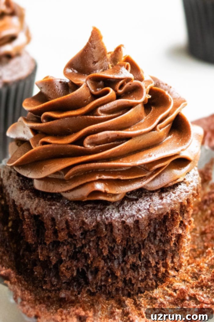Best Chocolate Cupcake Recipe - A rich, moist, and fluffy chocolate cupcake with chocolate frosting