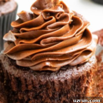 The Ultimate Chocolate Cupcake Recipe 5 Best Chocolate Cupcake Recipe - A close-up of a frosted chocolate cupcake