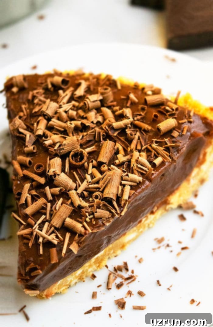 Easy No-Bake Chocolate Peanut Butter Pie 3 Close-up of Best No Bake Chocolate Peanut Butter Pie Slice