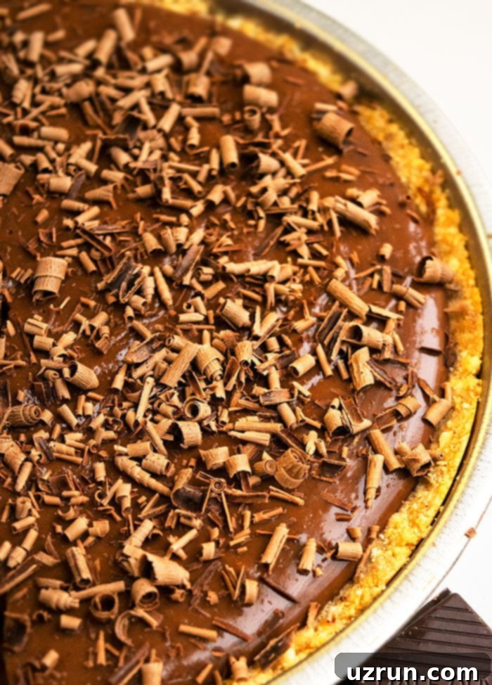 Easy No-Bake Chocolate Peanut Butter Pie 4 Delightful Slice of Chocolate Pudding Peanut Butter Pie