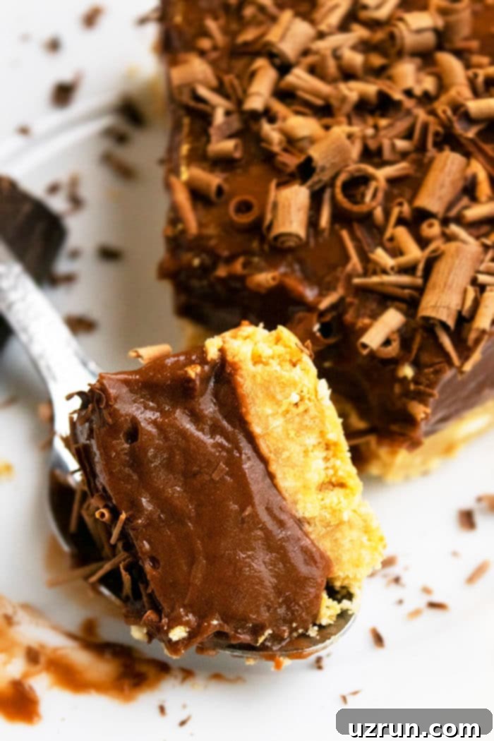 Easy No-Bake Chocolate Peanut Butter Pie 5 A perfect bite of homemade chocolate peanut butter pie