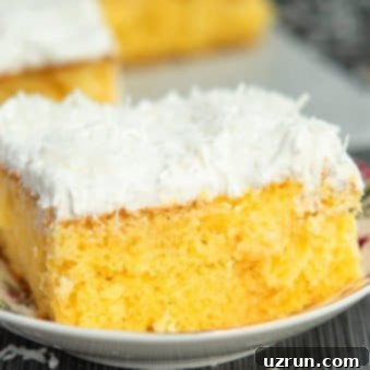 Easy Pineapple Cake from a Mix 6 Easy Pineapple Cake Recipe (With Cake Mix)