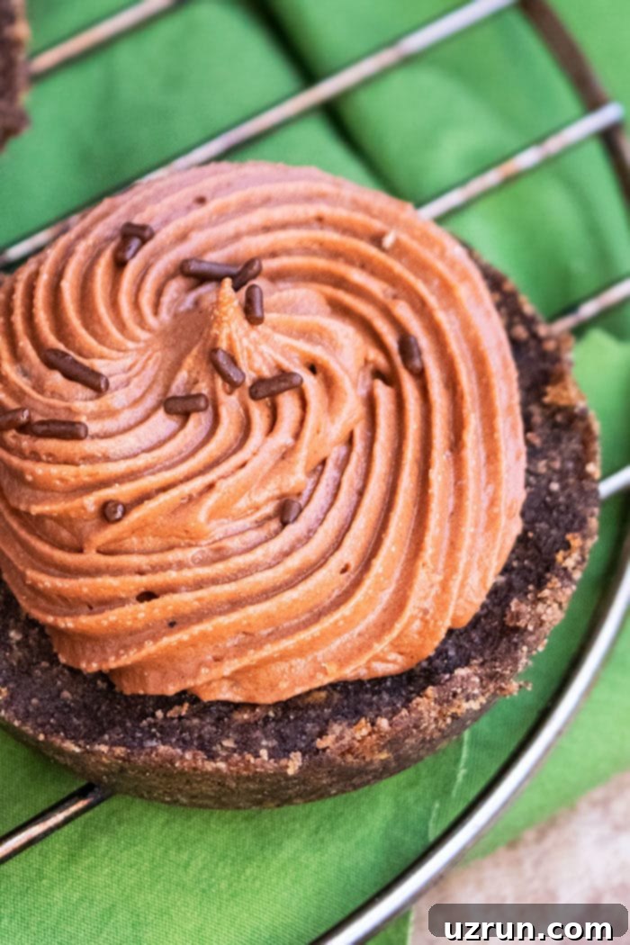 Easy No Bake Nutella Cheesecake with Oreo Crust, ready to serve