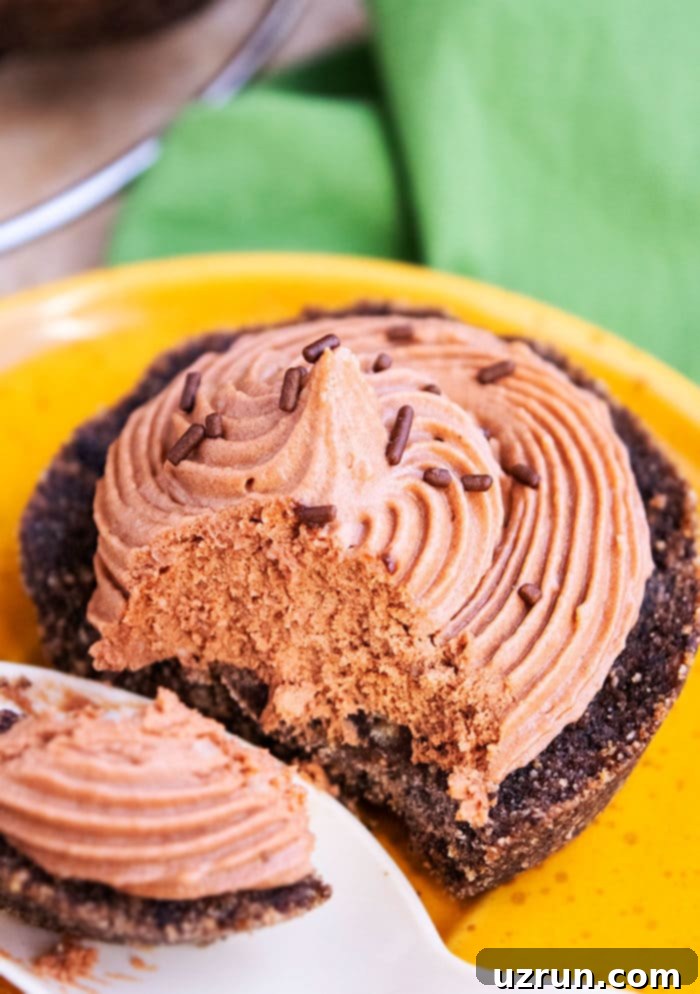 No-Bake Mini Nutella Cheesecakes 3 A single serving of mini Nutella cheesecake, showcasing the creamy filling and Oreo crust.