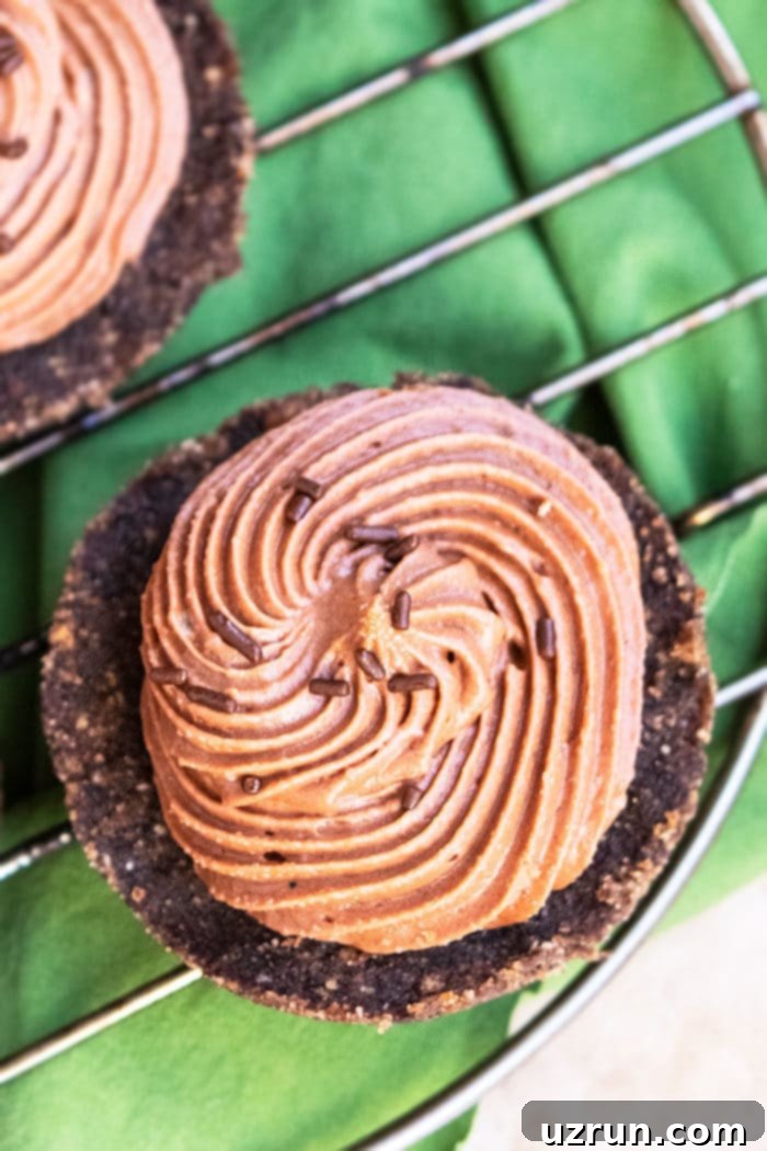 No-Bake Mini Nutella Cheesecakes 4 A close-up of a homemade Nutella cheesecake, showing its rich, smooth texture and perfect crust.