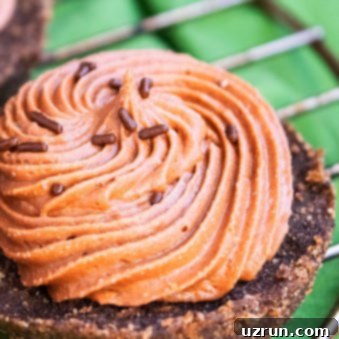 No-Bake Mini Nutella Cheesecakes 5 Mini No Bake Nutella Cheesecake Recipe