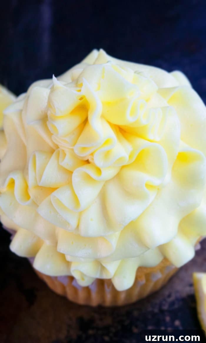 Sunshine Lemon Frosting 5 Lemon Buttercream Icing Swirl on Top of Cupcake- Closeup Shot