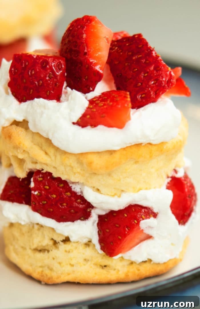 Easy Bisquick Strawberry Shortcake 3 Easy Bisquick Strawberry Shortcake on White Dish