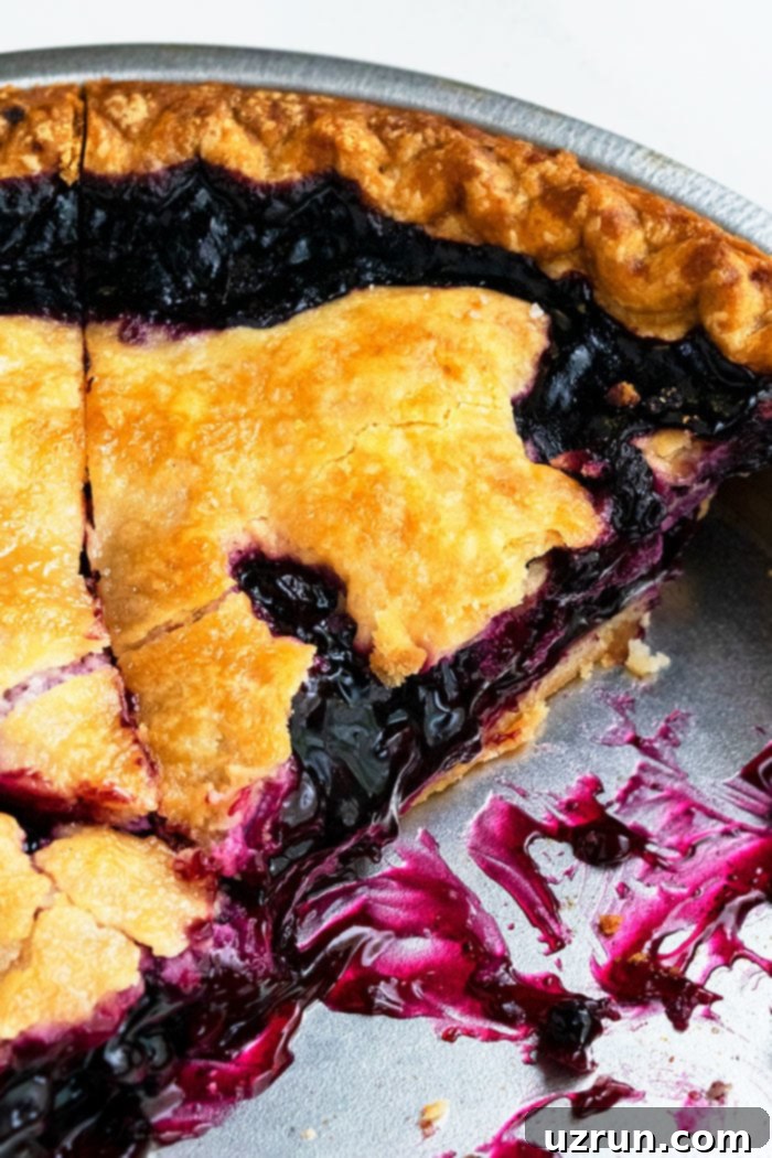 Closeup Shot of a Slice of Blueberry Pie in Steel Pan.