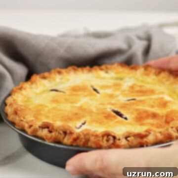 Easy Blueberry Pie With Fresh Or Frozen Berries 11 Baked golden brown pie being served on white marble with gray napkin.