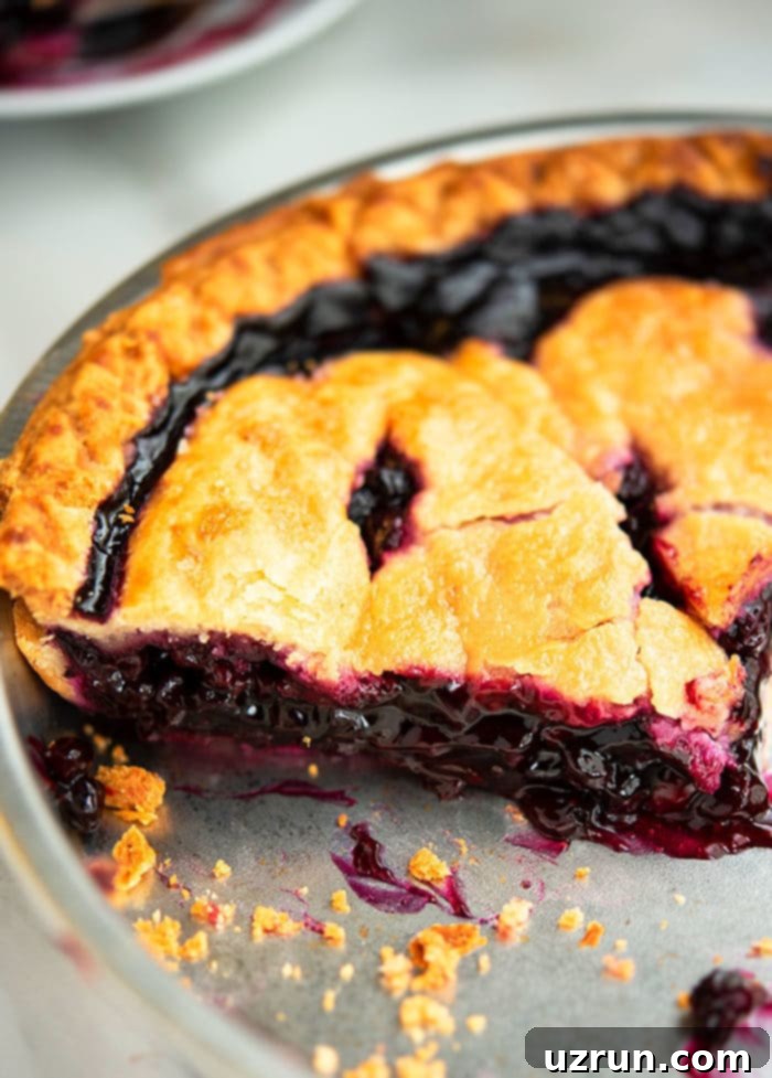 Easy Blueberry Pie With Fresh Or Frozen Berries 12 Fresh of Frozen Summer Berry Pie in Round Pan.