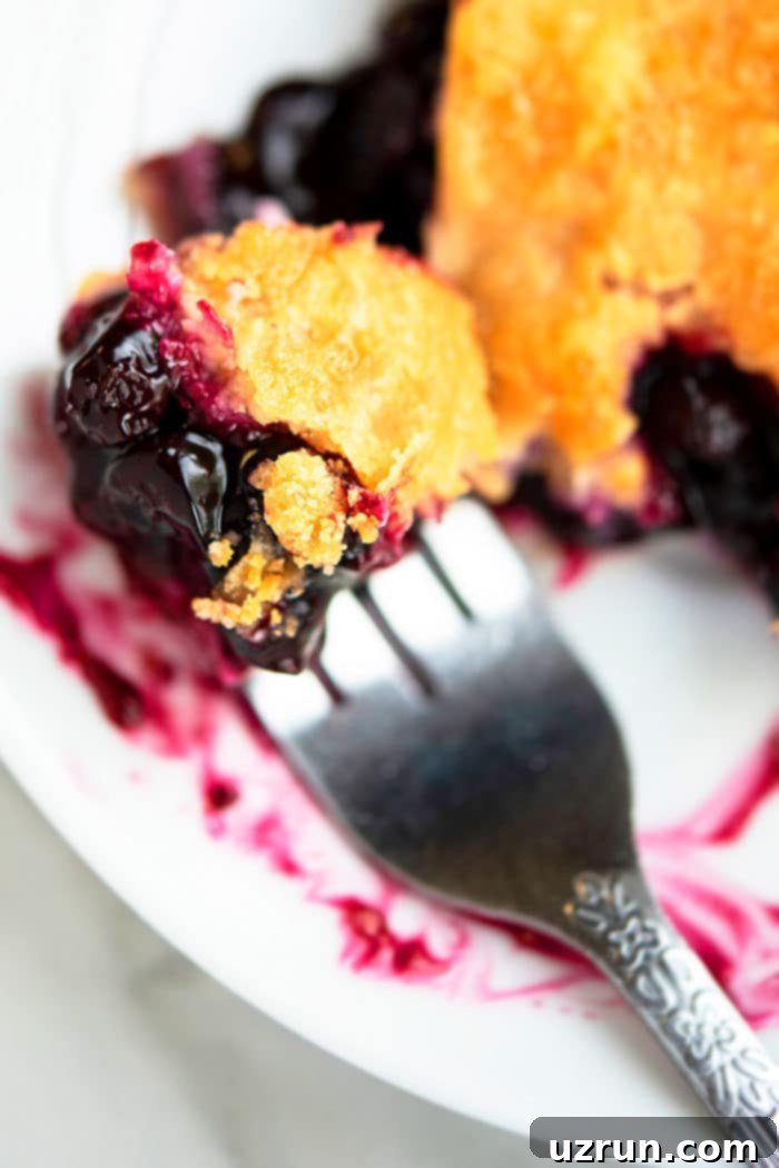 Easy Blueberry Pie With Fresh Or Frozen Berries 13 Fork Full of Pie.