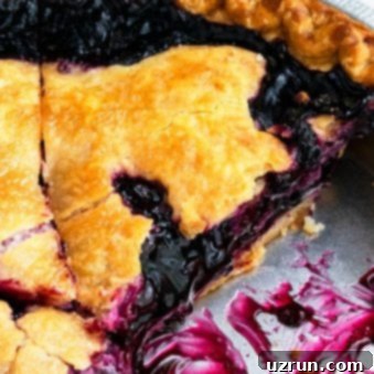 Easy Blueberry Pie With Fresh Or Frozen Berries 14 Closeup Shot of a Slice of Blueberry Pie in Steel Pan.