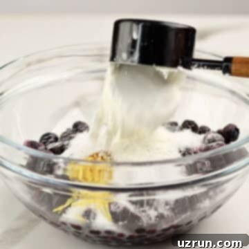 Easy Blueberry Pie With Fresh Or Frozen Berries 4 Bowl of blueberries, sugar, lemon zest, cinnamon and cornstarch.