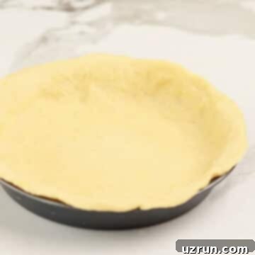 Easy Blueberry Pie With Fresh Or Frozen Berries 6 Pie crust spread out in pan.