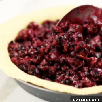 Easy Blueberry Pie With Fresh Or Frozen Berries 7 Blueberry filling being spooned into a prepared crust.