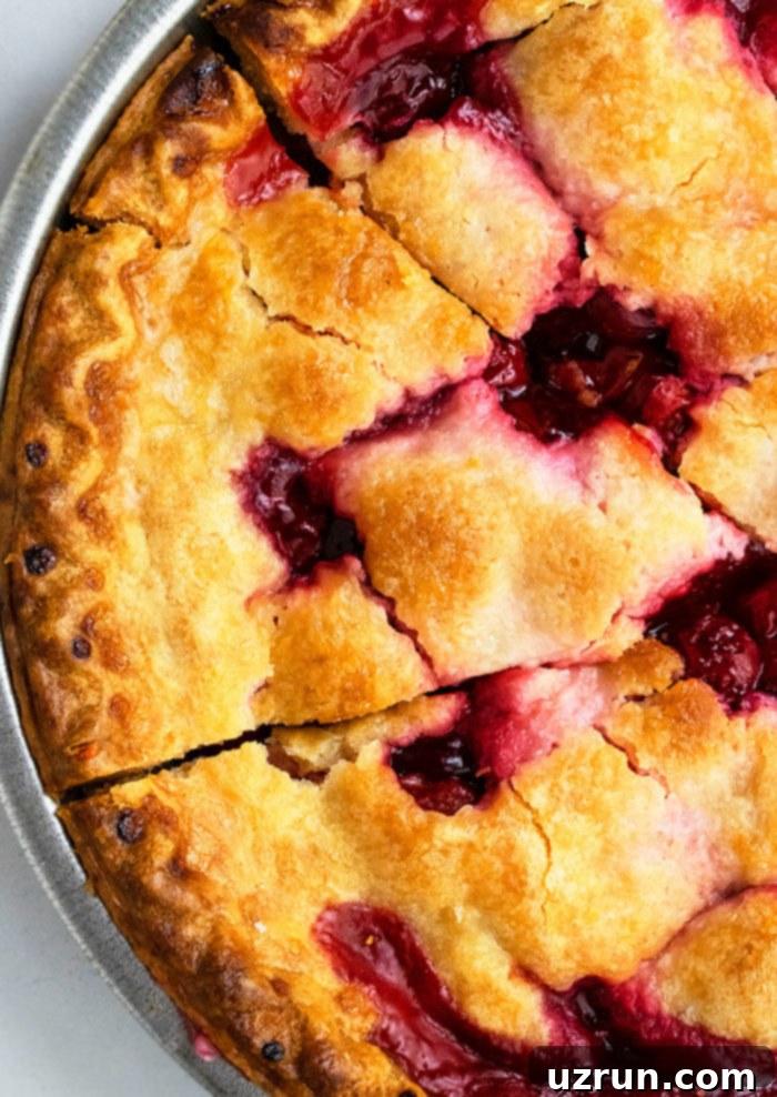 Effortless Cherry Pie From Scratch 3 Best Fresh Sweet Cherry Pie in Pan- Overhead Shot
