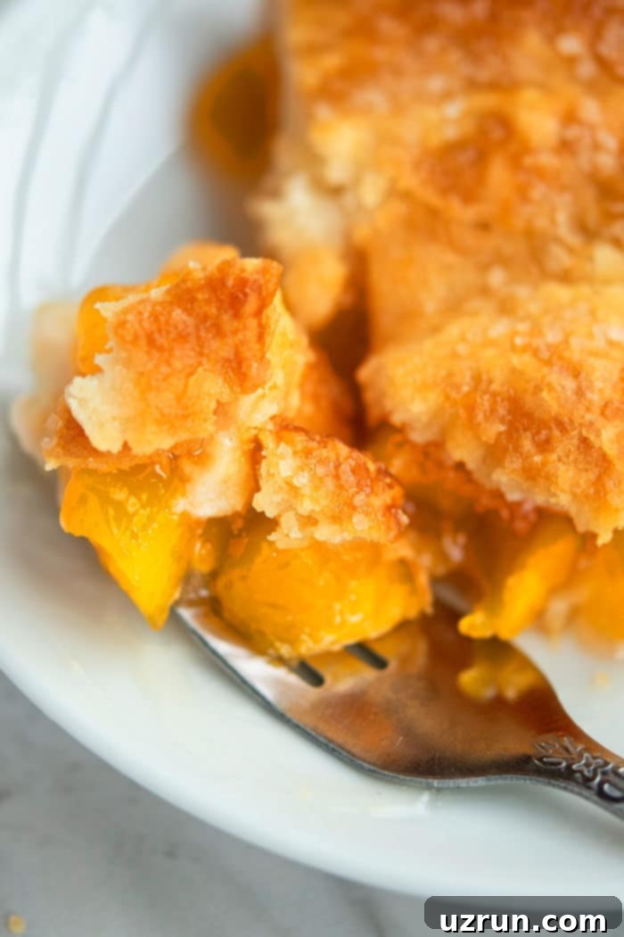 Easy Peach Pie with Fresh or Frozen Peaches 5 Fork Full of Pie on White Dish.