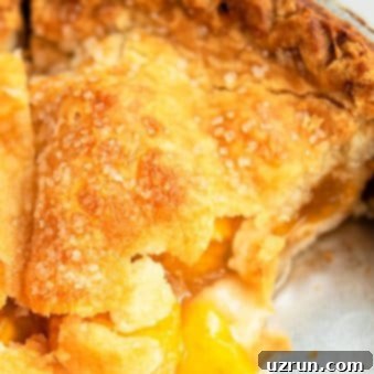 Easy Peach Pie with Fresh or Frozen Peaches 6 Easy Homemade Peach Pie Recipe From Scratch in Round Dish.