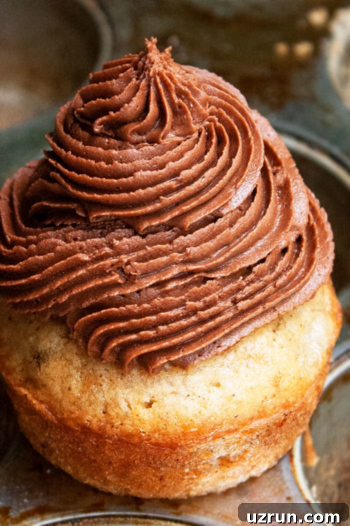 Homemade Chocolate Cream Cheese Frosting with Cocoa Powder, perfect for dessert decoration