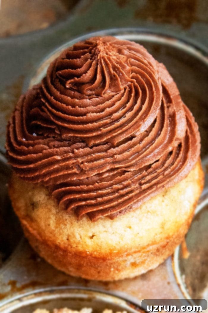 Velvety Chocolate Cream Cheese Icing 3 Chocolate Cream Cheese Buttercream Icing swirls on a cake