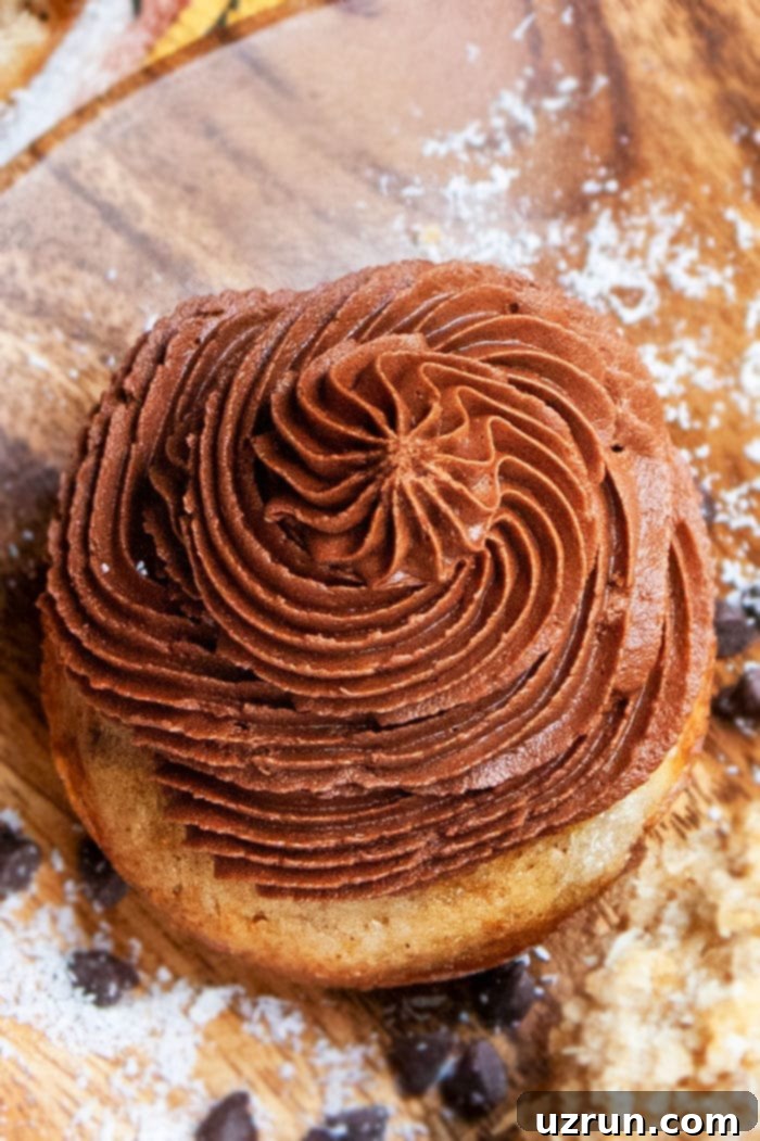 Velvety Chocolate Cream Cheese Icing 4 Chocolate Fudge Frosting for Cakes and Cupcakes, a delightful dessert topping