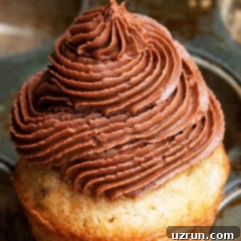 Velvety Chocolate Cream Cheese Icing 5 Easy Chocolate Cream Cheese Frosting Recipe, perfect for desserts