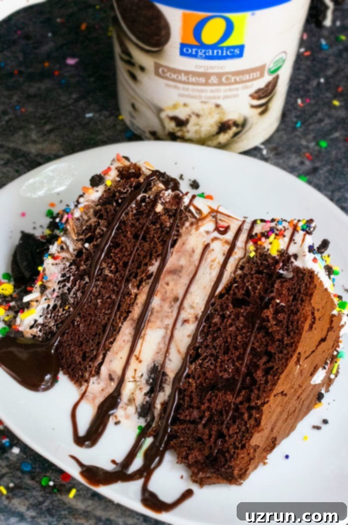 Easy Homemade Ice Cream Cake Recipe 3 Chocolate Ice Cream Cake