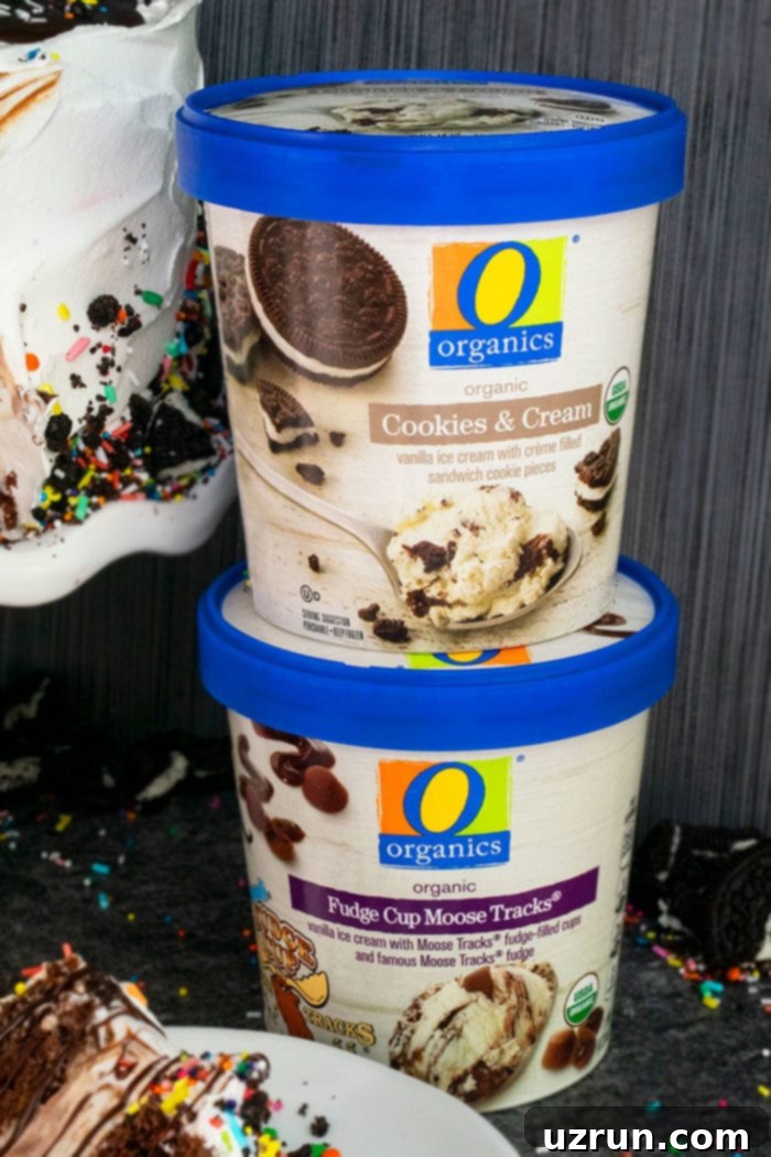 Easy Homemade Ice Cream Cake Recipe 4 O Organics Ice Cream