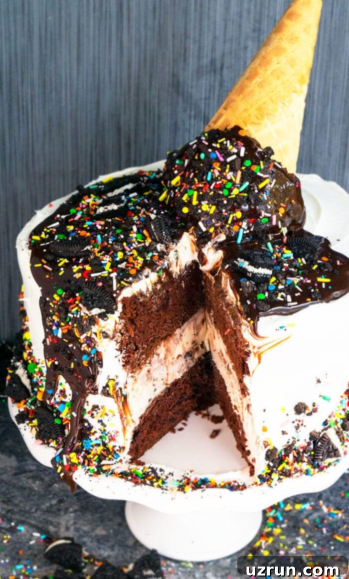 Easy Homemade Ice Cream Cake Recipe 5 Birthday Cake Ice Cream Cake