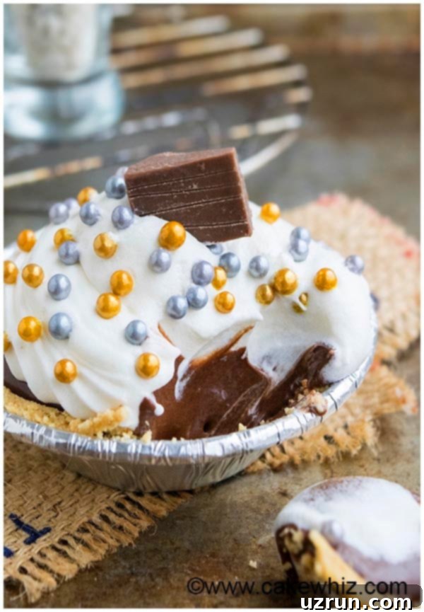 Easy No-Bake Chocolate Tart 3 Partially Eaten Mini Chocolate Tartlet With Graham Cracker Crust on Rustic Background