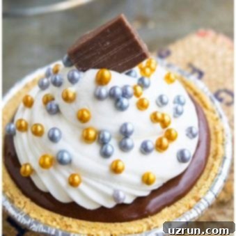 Easy No-Bake Chocolate Tart 5 Easy Homemade No Bake Chocolate Tart on Rustic Background