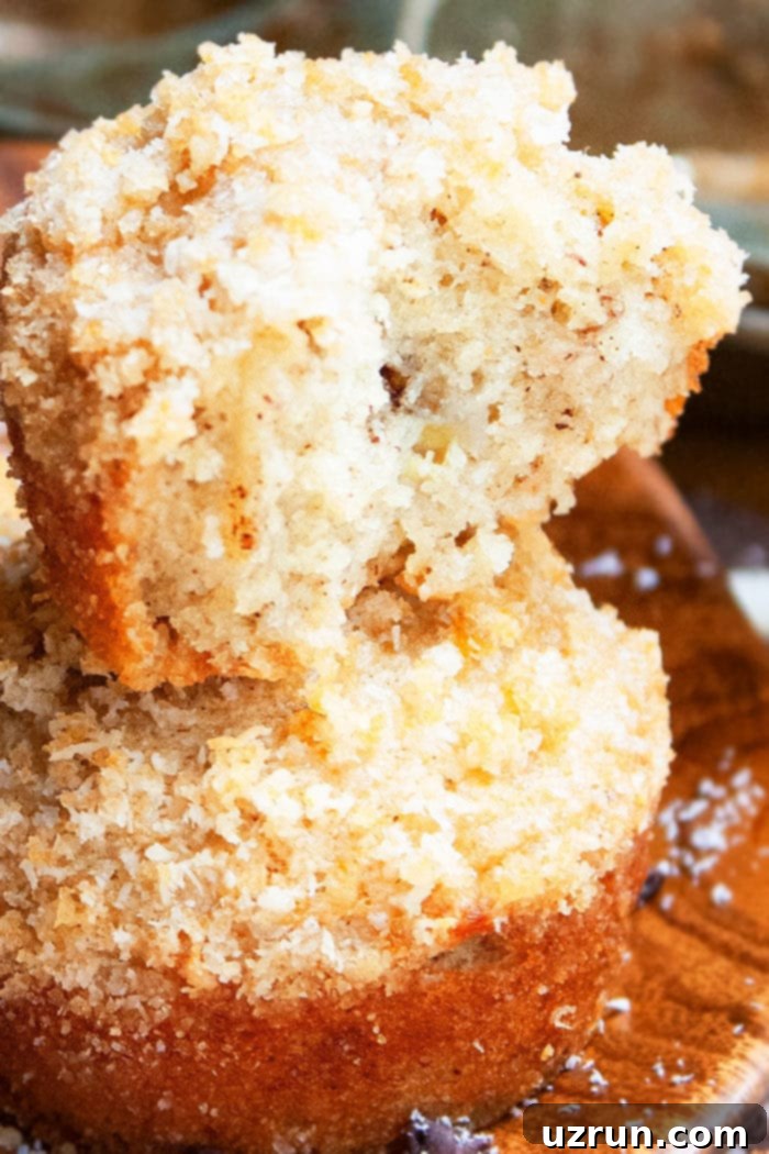 Soft and Moist Banana Muffins 4 Easy Banana Muffins with Streusel Crumb Topping